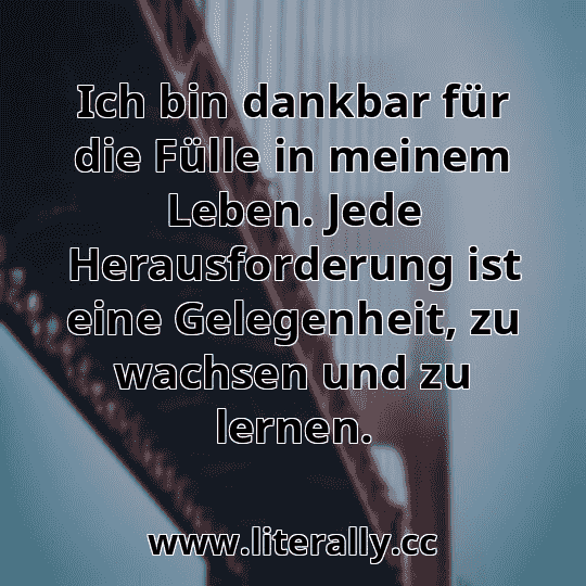Ich bin dankbar für die Fülle in meinem Leben. Jede Herausforderung ist eine Gelegenheit, zu wachsen und zu lernen.
