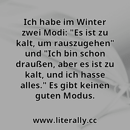 Ich habe im Winter zwei Modi: "Es ist zu kalt, um rauszugehen" und "Ich bin schon draußen, aber es ist zu kalt, und ich hasse alles." Es gibt keinen guten Modus.
