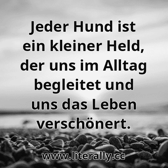 Jeder Hund ist ein kleiner Held, der uns im Alltag begleitet und uns das Leben verschönert.
