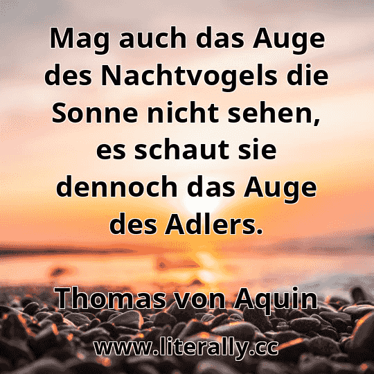 Mag auch das Auge des Nachtvogels die Sonne nicht sehen, es schaut sie dennoch das Auge des Adlers.
Thomas von Aquin

