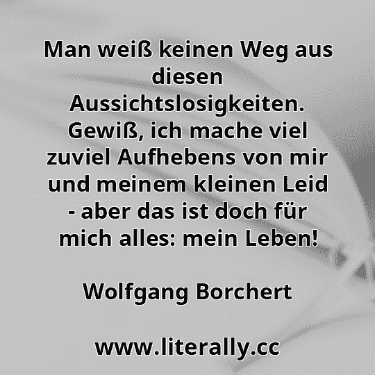 Man weiß keinen Weg aus diesen Aussichtslosigkeiten. Gewiß, ich mache viel zuviel Aufhebens von mir und meinem kleinen Leid - aber das ist doch für mich alles: mein Leben!
Wolfgang Borchert
