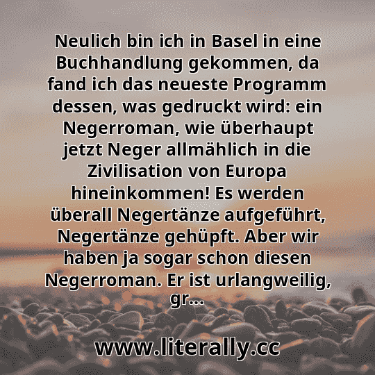Neulich bin ich in Basel in eine Buchhandlung gekommen, da fand ich das neueste Programm dessen, was gedruckt wird: ein Negerroman, wie überhaupt jetzt Neger allmählich in die Zivilisation von Europa hineinkommen! Es werden überall Negertänze aufgeführt, Negertänze gehüpft. Aber wir haben ja sogar schon diesen Negerroman. Er ist urlangweilig, gr...