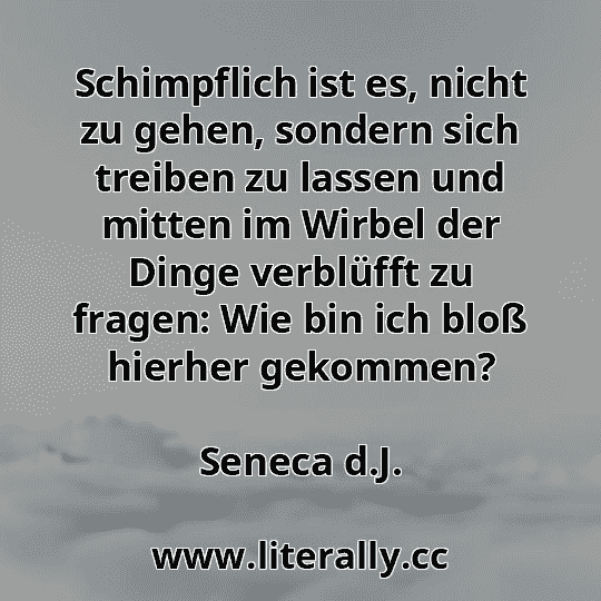 Schimpflich ist es, nicht zu gehen, sondern sich treiben zu lassen und mitten im Wirbel der Dinge verblüfft zu fragen: Wie bin ich bloß hierher gekommen?
Seneca d.J.
