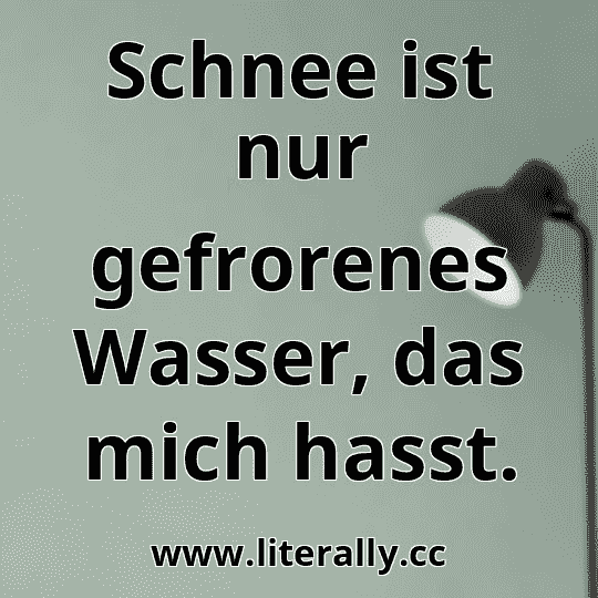 Schnee ist nur gefrorenes Wasser, das mich hasst.
