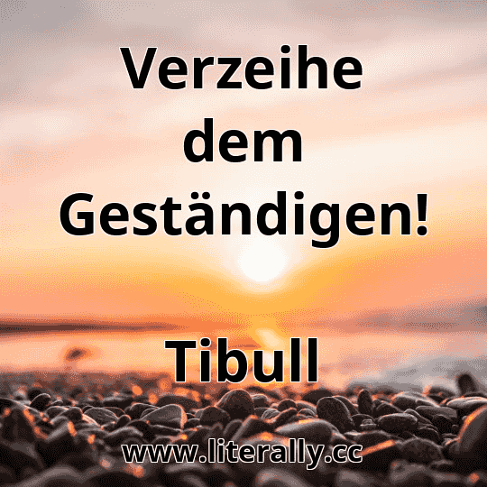 Verzeihe dem Geständigen!
Tibull
