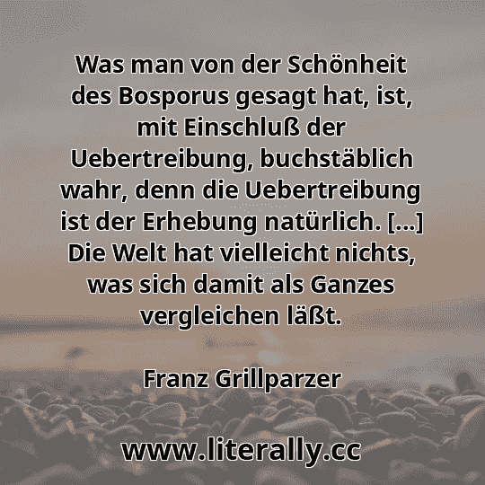 Was man von der Schönheit des Bosporus gesagt hat, ist, mit Einschluß der Uebertreibung, buchstäblich wahr, denn die Uebertreibung ist der Erhebung natürlich. [...] Die Welt hat vielleicht nichts, was sich damit als Ganzes vergleichen läßt.
Franz Grillparzer

