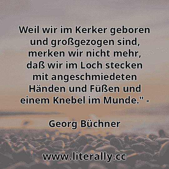 Weil wir im Kerker geboren und großgezogen sind, merken wir nicht mehr, daß wir im Loch stecken mit angeschmiedeten Händen und Füßen und einem Knebel im Munde." -
Georg Büchner
