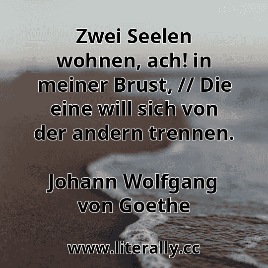 Zwei Seelen wohnen, ach! in meiner Brust, // Die eine will sich von der andern trennen.
Johann Wolfgang von Goethe
