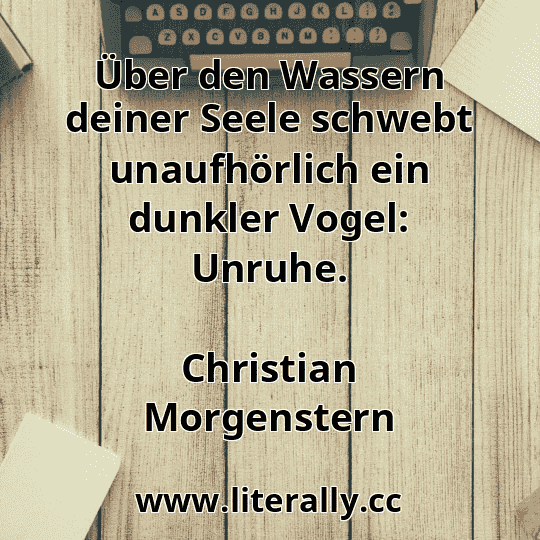 Über den Wassern deiner Seele schwebt unaufhörlich ein dunkler Vogel: Unruhe.
Christian Morgenstern
